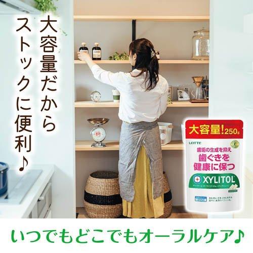 キシリトール オーラテクトガム クリアミント 大容量パウチ ( 250g