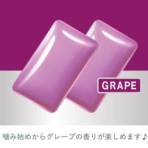 キシリトールガム<グレープ>ファミリーボトル ( 133g ) : 爽快 キシリトールガム<グレープ>ファミリーボトル ( 133g ) : 爽快