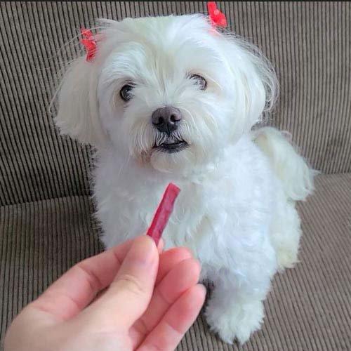 素材そのまま 紫さつまいも 細切りタイプ 犬用 ( 260g ) : 爽快