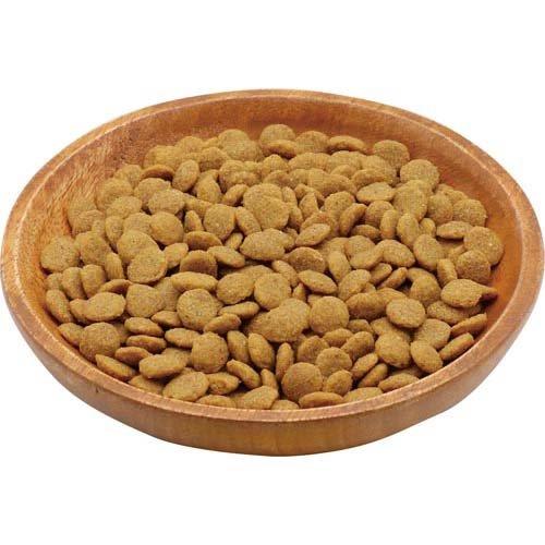プラクト ドライフード 幼猫〜成猫用 チキン味 ( 1.2kg ) : 爽快