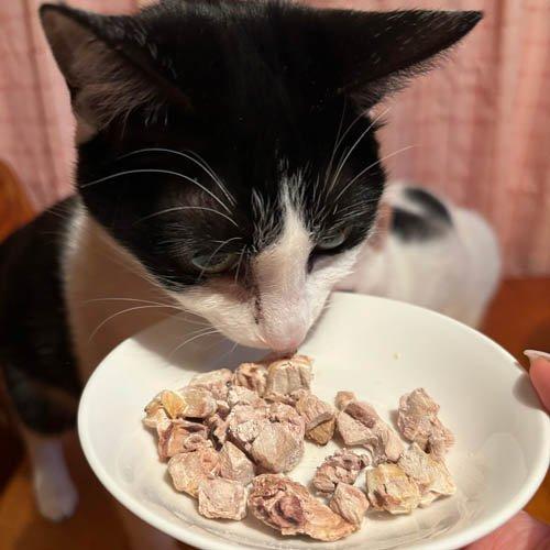素材そのまま ねこちゃんの 完全無添加 フリーズドライ 蒸しカツオ