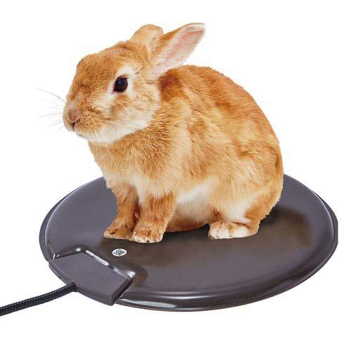 ペットのための丸型電気ヒーター セミハード ( 1個 )/ ペティオ(Petio