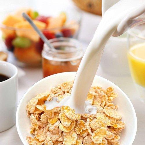 日食 Feel＆Green やさしいコーンフレーク ケーンシュガー ( 140g