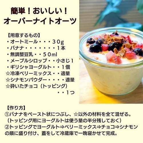 日食 プレミアムピュア オートミール ( 500g )/ インスタントタイプ 糖
