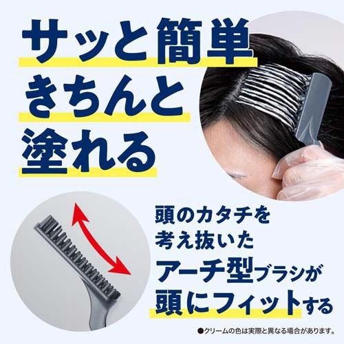ラフェリーズ　6トーン&4トーン白髪染め黒染めカラー剤 40本セット サロンドプロ 無香料ヘアカラー メンズスピーディ 白髪用 自然な黒褐色