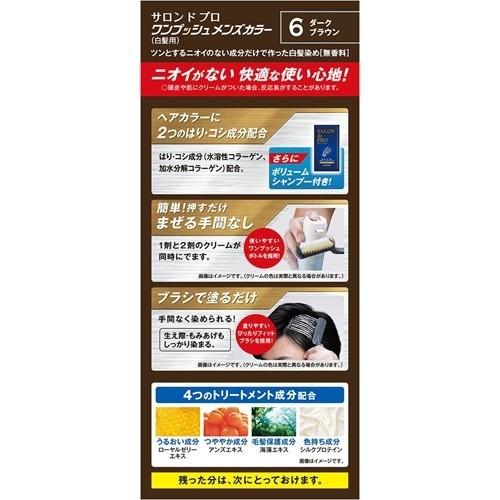 サロンドプロ ワンプッシュメンズヘアカラー 6 ダークブラウン