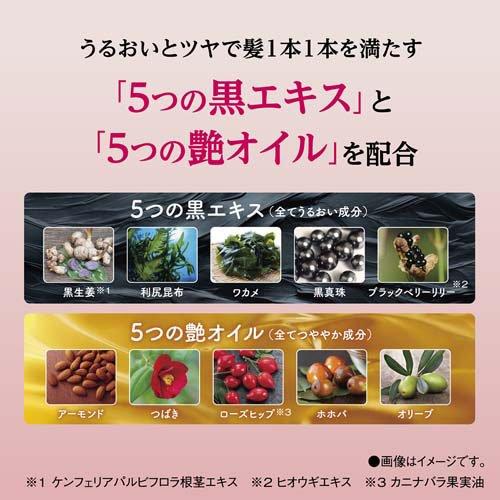 2024人気の サロンドプロ カラーシャンプー ダークブラウン ( 300ml )/ 白髪 カラーリング・白髪染め