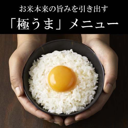 タイガー魔法瓶 IHジャー炊飯器 炊きたて ブラウン JPW-D100 T ( 1台