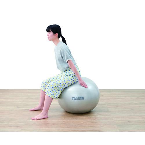 タニタ ジムボール シルバー TS-962-SV ( 1個 )/ タニタ(TANITA