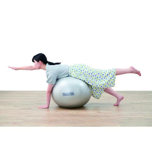 タニタ ジムボール シルバー TS-962-SV ( 1個 )/ タニタ(TANITA