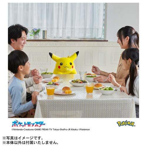 ポケモン30周年記念 おかえり！ピカチュウ1／1 ( 1個 )/ タカラトミー