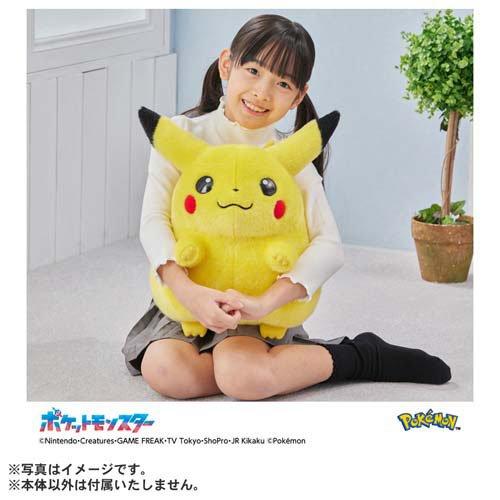 ポケモン30周年記念 おかえり！ピカチュウ1／1 ( 1個 )/ タカラトミー