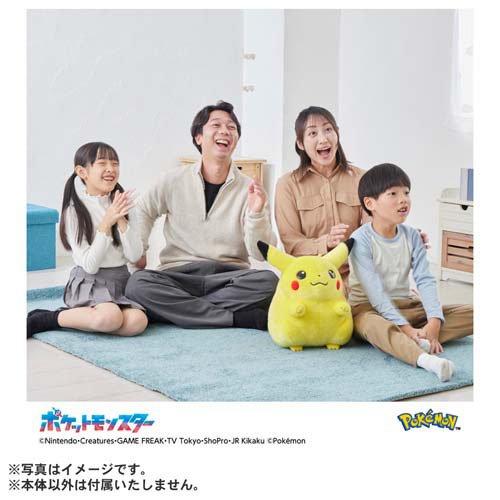 ポケモン30周年記念 おかえり！ピカチュウ1／1 ( 1個 )/ タカラトミー