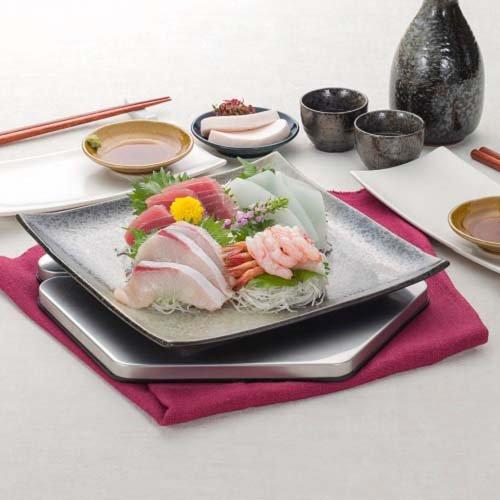 CCP 食品の冷たさキープ フローズンプレート ZF-CP72-SV ( 1枚 )/ CCP