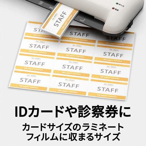 エーワン 名刺 カード ミシン目 キャッシュカードサイズ 白 51083 ( 10