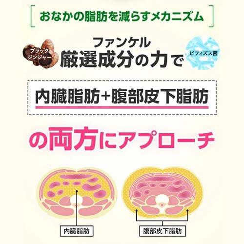 ファンケル 内脂サポート 機能性表示食品 ( 90粒入 )/ 機能性表示食品