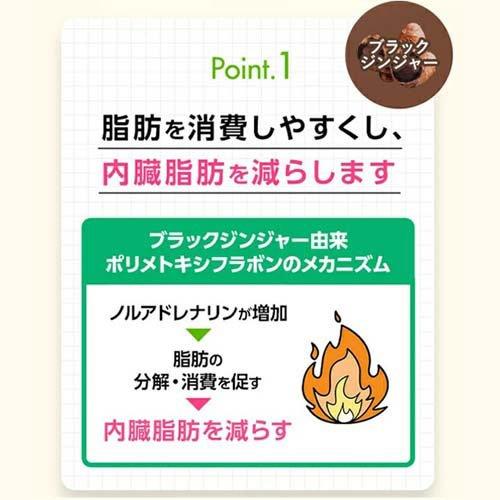 ファンケル 内脂サポート 機能性表示食品 ( 90粒入 )/ 機能性表示食品