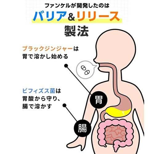 ファンケル 内脂サポート 機能性表示食品 ( 90粒入 )/ 機能性表示食品