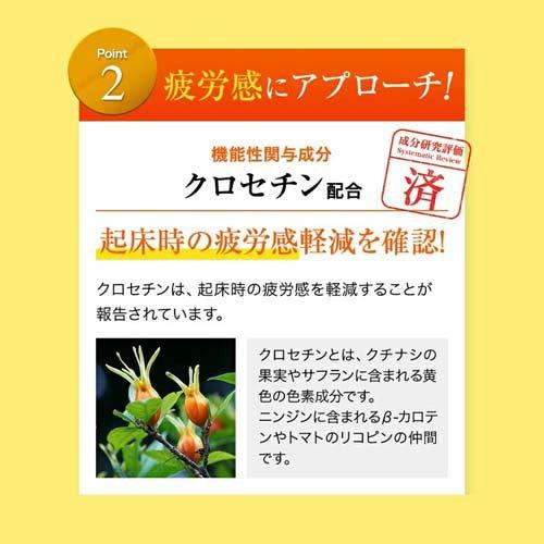 ファンケル 睡眠＆疲労感ケア 30日分 機能性表示食品 ( 120粒入