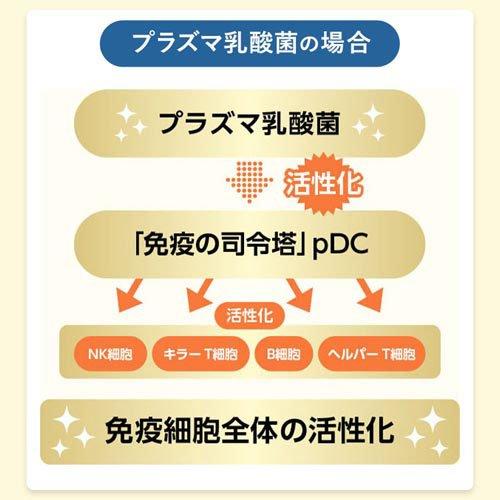ファンケル 免疫サポート 　5個セット ファンケル 免疫サポート 機能性表示食品 粒タイプ 30日分 ( 30