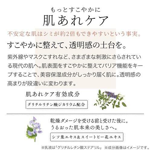 ファンケル ブライトニング 化粧液 I さっぱり ( 30ml )/ : 爽快
