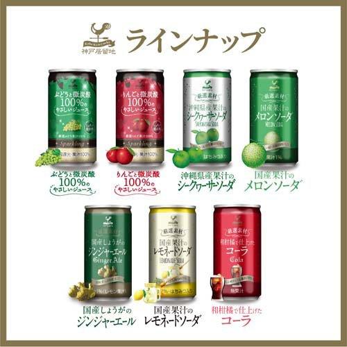 神戸居留地 厳選素材 沖縄県産果汁のシークヮーサーソーダ 缶 ( 185ml