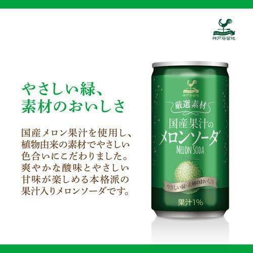 メロンソーダ 神戸居留地 厳選素材 国産果汁のメロンソーダ 缶 ( 185ml*20本入