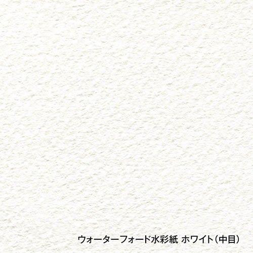 ホルベイン ウォーターフォード ホワイト ブロック EHB-F8 270935 ( 1冊 )/ ホルベインの画像