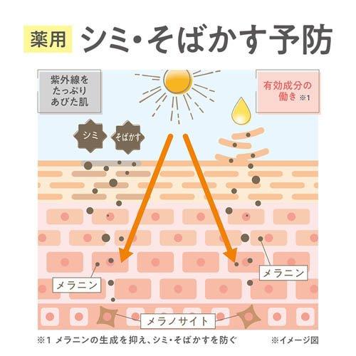 セザンヌ 薬用クリアセラム ( 30mL )/ セザンヌ(CEZANNE) : 爽快
