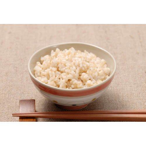 秋田県産あきたこまち 早炊き玄米 鉄分 ( 900g )/ 大潟村 秋田県産あきたこまち 早炊き玄米 鉄分 ( 900g )/ 大潟村
