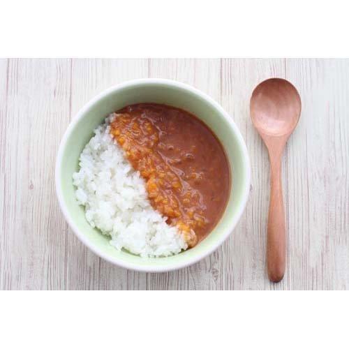 オーガニックこどもカレー ( 100g ) レトルト食品 レトルトカレー