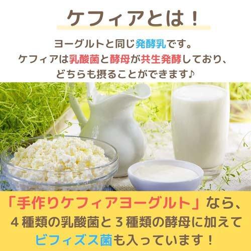 手作りケフィアヨーグルト種菌セット ( 3g×5包 ) : 爽快ドラッグ