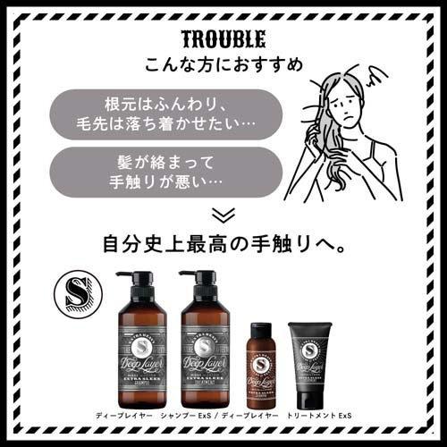 ディープレイヤー トリートメントExS ( 750g )/ Deep Layer(ディー