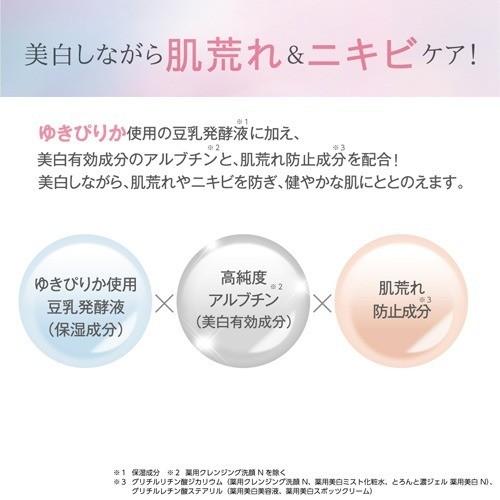 サナ なめらか本舗 薬用美白ミスト化粧水 ( 120ml )/ 豆乳発酵液（保湿