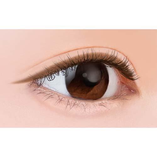 えるりん　流せるライナーのみ えるりん 流せるライナーのみ ソフィ / 流せるクリーンライナー