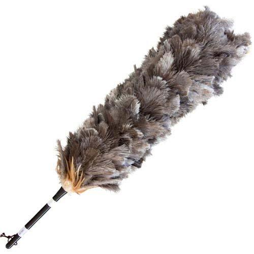 毛ばたき オーストリッチ 全長約120.5cm ( 1本 )/ エスキー : 爽快