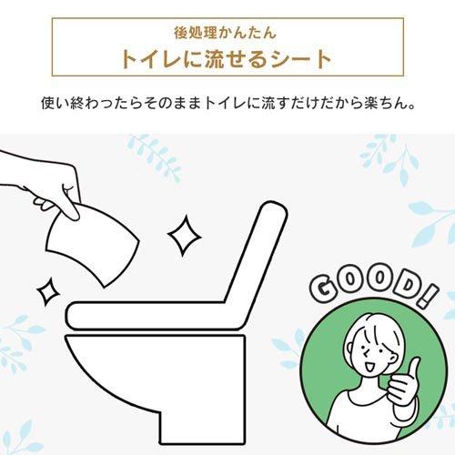 アイリスオーヤマ おしりふき 流せる ウェットティッシュ 厚手 アイリスオーヤマ おしりふき 流せる ウェットティッシュ 厚手