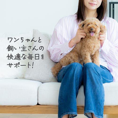 子犬わたあめサイズ　和柄パンツ　1 クレマチス柄メッシュタンク S/M/L/XL/XXL BROWNIE'S-ブラウニー