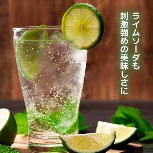 ビッグバーンフーズ 炭酸水 ボトル缶 ( 500ml×24本 ) : 爽快ドラッグ