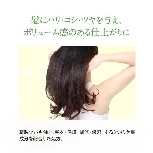大島椿 エクセレントトリートメント ( 200g )/ 大島椿シリーズ