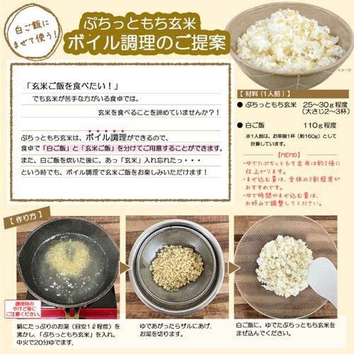 ぷちっともち玄米 ( 900g ) もち米 食物繊維 健康 玄米 : 爽快ドラッグ