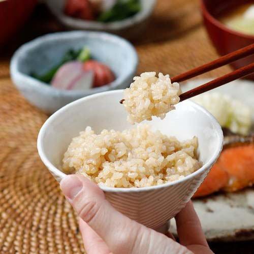 ぷちっともち玄米 ( 900g ) もち米 食物繊維 健康 玄米 : 爽快ドラッグ