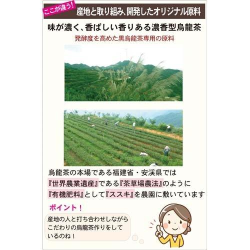 国太楼 豊かな濃く 黒烏龍茶 ティーバッグ ( 40袋入 )/ 高発酵 国太楼 豊かな濃く 黒烏龍茶 ティーバッグ ( 40袋入 )/ 高発酵