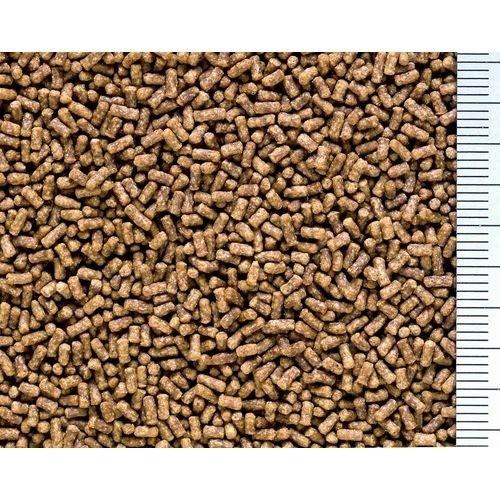 ひかり 咲ひかり金魚 育成用 ( 1kg )/ : 爽快ドラッグ - 通販 - Yahoo