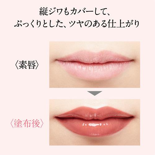 誘惑する 光沢 寺院 エスプリーク リップ 遅い 条件付き 刻む