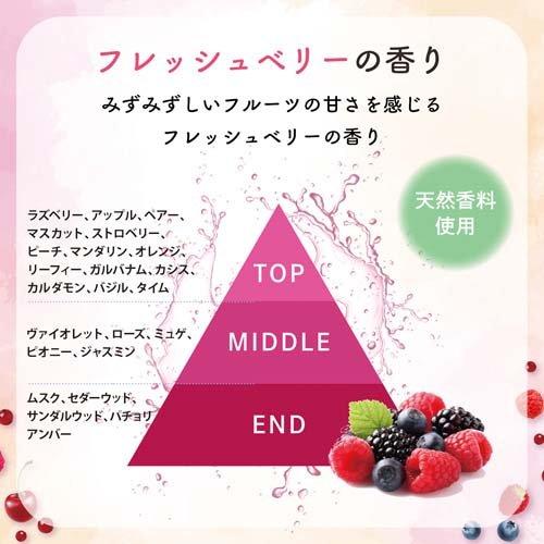 ブレンドベリー メイクアップ キーピング ミスト ( 60ml )/ : 爽快