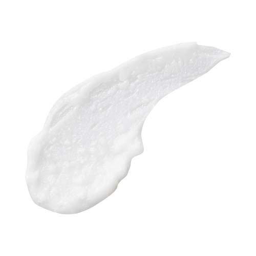 サロンスタイル ビオリス ボタニカル メルティバーム ( 32g )/ : 爽快