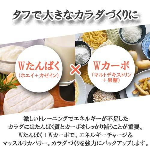 Kentai Kentai(ケンタイ) ウェイトゲインアドバンス ミルクチョコ風味