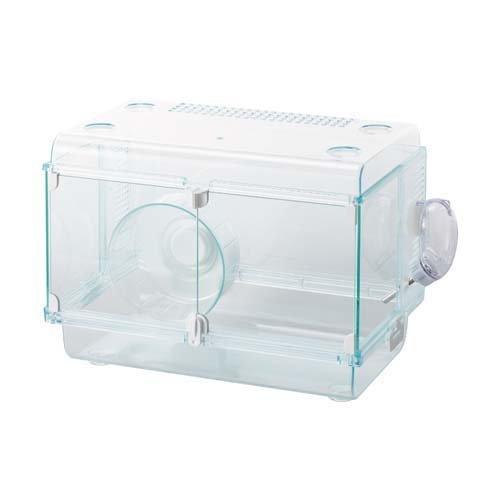 【色々おまけ付き】GEX グラスハーモニー600plus グラスハーモニー 600」の人気商品一覧 | 安い商品を通販サイト