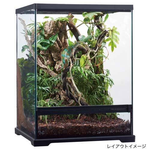 エキゾテラ テラメイカー パルダ ( 3L )/ : 爽快ドラッグ - 通販